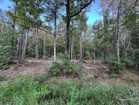 730 Cr 459 Kirbyville TX 75956
