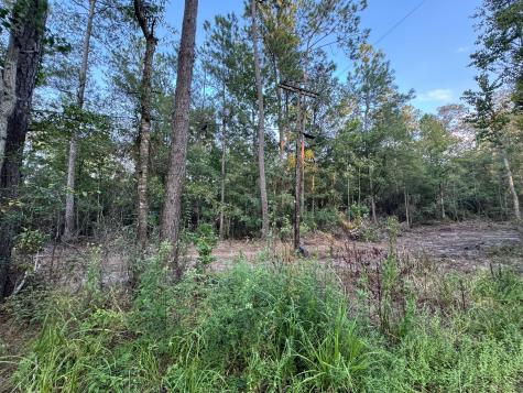 730 Cr 459 Kirbyville TX 75956