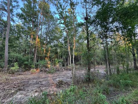 730 Cr 459 Kirbyville TX 75956