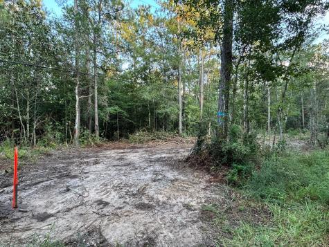 730 Cr 459 Kirbyville TX 75956