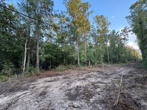 730 Cr 459 Kirbyville TX 75956