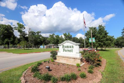 Lot 61 Appian Way New Caney TX 77357