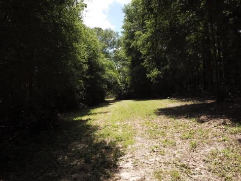 9.57 Acres Highway 69 N Woodville TX 75979