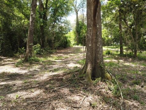 9.57 Acres Highway 69 N Woodville TX 75979