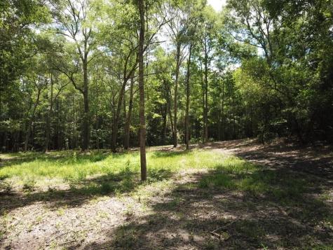 9.57 Acres Highway 69 N Woodville TX 75979