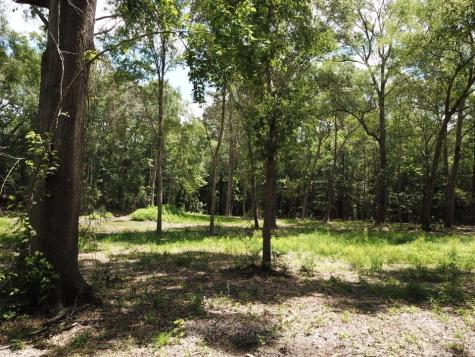9.57 Acres Highway 69 N Woodville TX 75979
