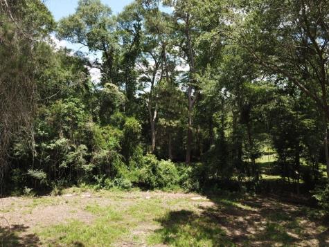 9.57 Acres Highway 69 N Woodville TX 75979