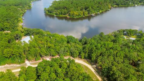 0 Pine Island Cove Road Grapeland TX 75844