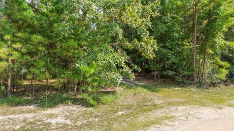 0 Pine Island Cove Road Grapeland TX 75844