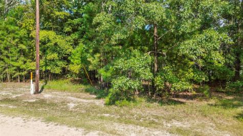 0 Pine Island Cove Road Grapeland TX 75844