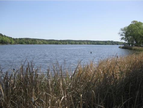 0 Pine Island Cove Road Grapeland TX 75844