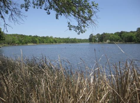 0 Pine Island Cove Road Grapeland TX 75844