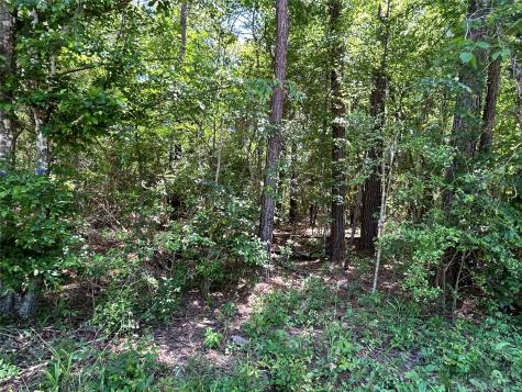 0 Redwood Lane Montgomery TX 77356