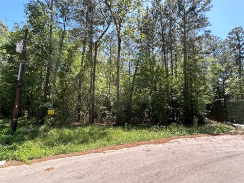 0 Redwood Lane Montgomery TX 77356