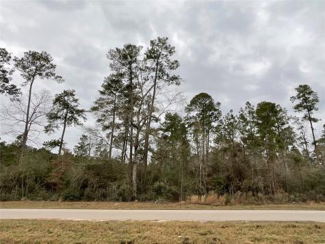 15877 Four Hills Road Willis TX 77378
