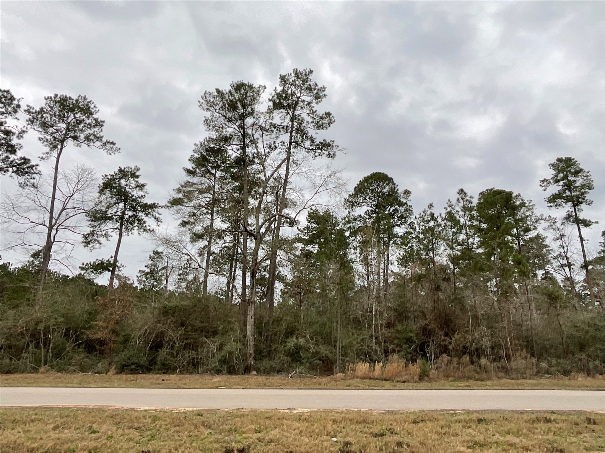 15877 Four Hills Road Willis TX 77378