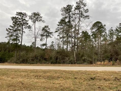 15877 Four Hills Road Willis TX 77378