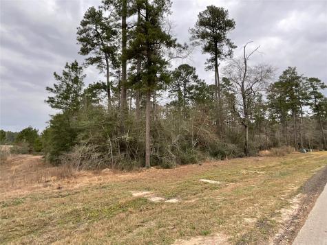 15877 Four Hills Road Willis TX 77378