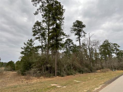 15877 Four Hills Road Willis TX 77378