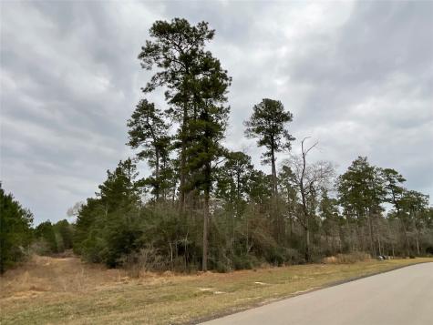 15877 Four Hills Road Willis TX 77378