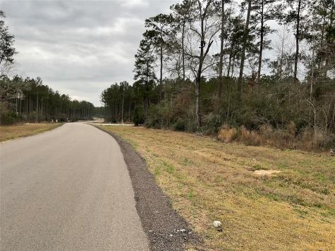 15877 Four Hills Road Willis TX 77378