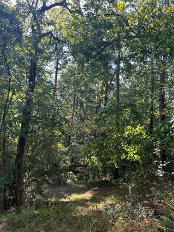 1327 Joanna Hill Livingston TX 77351