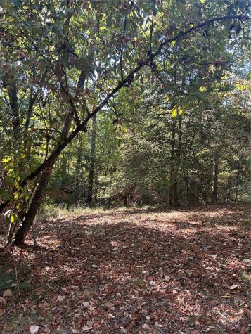 1327 Joanna Hill Livingston TX 77351