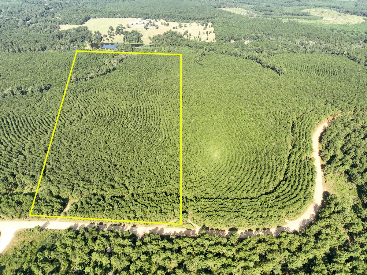 000 Shady Grove Road Woodville TX 75979