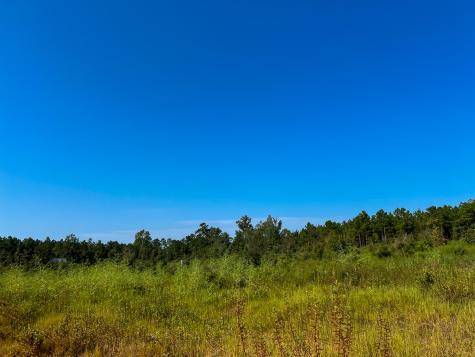 000 Shady Grove Road Woodville TX 75979