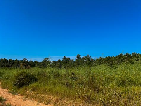 000 Shady Grove Road Woodville TX 75979
