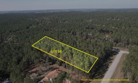 12-22-58 Grey Feather Road Huntsville TX 77340