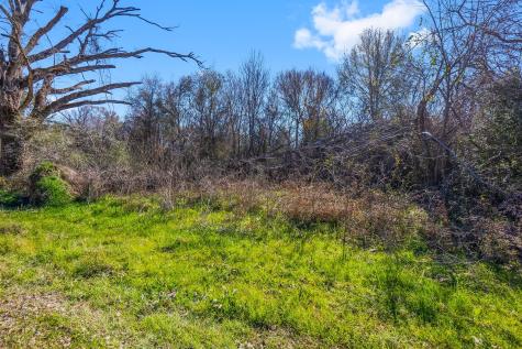 Tbd Bundic Road North Zulch TX 77872