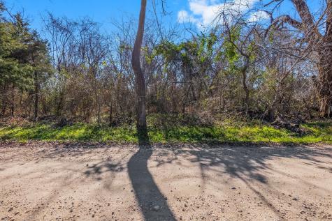 Tbd Bundic Road North Zulch TX 77872