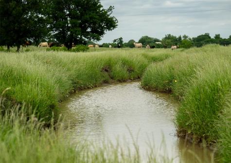 1716 Cr 469 Coupland TX 78615