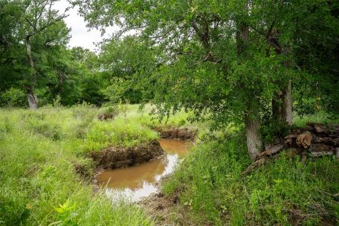 1716 Cr 469 Coupland TX 78615