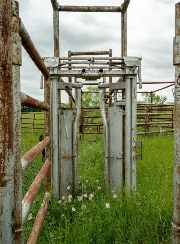 1716 Cr 469 Coupland TX 78615