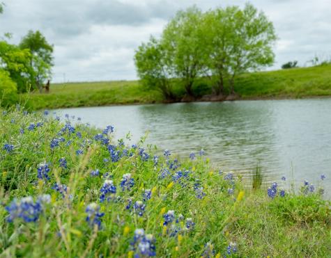 1716 Cr 469 Coupland TX 78615