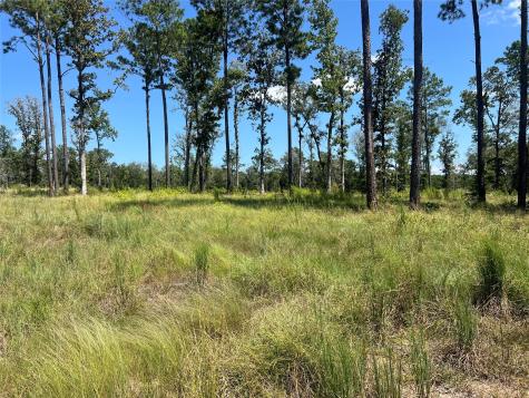 Tbd Ray Marsh Road Road Livingston TX 77351