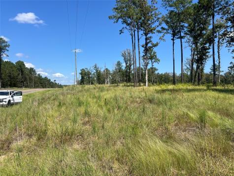 Tbd Ray Marsh Road Road Livingston TX 77351