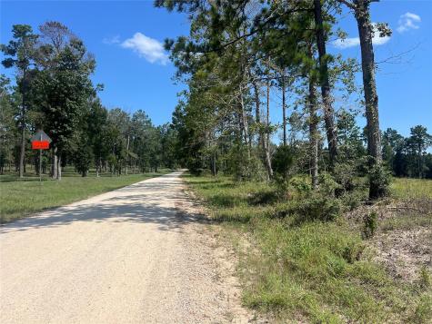 Tbd Ray Marsh Road Road Livingston TX 77351