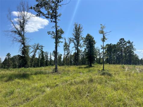 Tbd Ray Marsh Road Road Livingston TX 77351