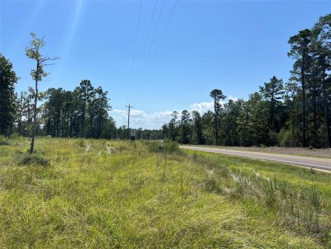 Tbd Ray Marsh Road Road Livingston TX 77351