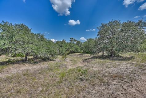 TBD(+/-237.91 AC) Highway 36 S Caldwell TX 77836