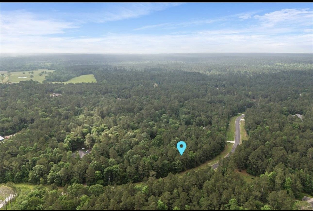 172 Grand View Huntsville TX 77340