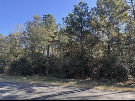172 Grand View Huntsville TX 77340
