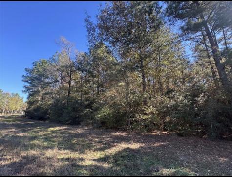 172 Grand View Huntsville TX 77340