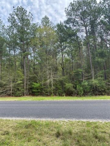 172 Grand View Huntsville TX 77340