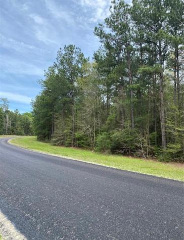 172 Grand View Huntsville TX 77340