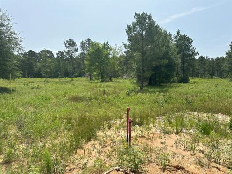0 Boone Road Waller TX 77484