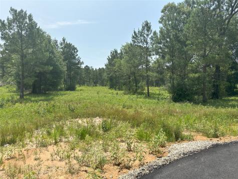 0 Boone Road Waller TX 77484